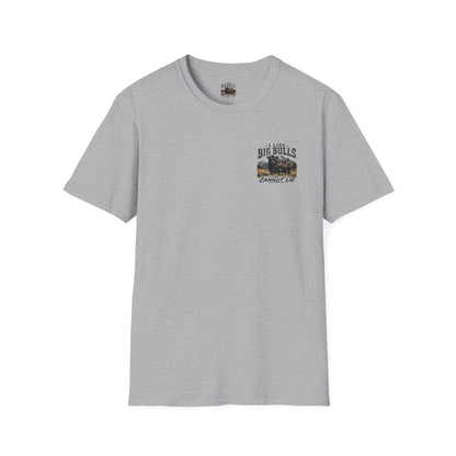 Big Bulls Graphic T-Shirt — "I Like Big Bulls Cannot Lie" Country Ranch Tee